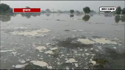 Crops in water farmer disturbed In hathras.