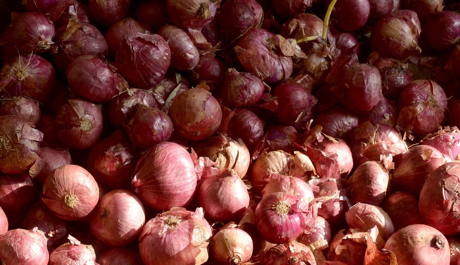  onion rate increased till 70 rupees per kilogram