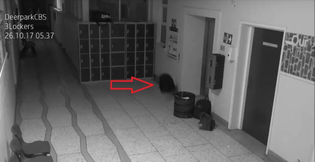 horrible video captured in cctv at ireland school
