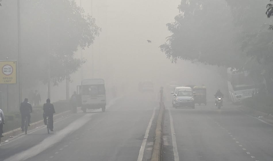 55 trains canceled due to fog