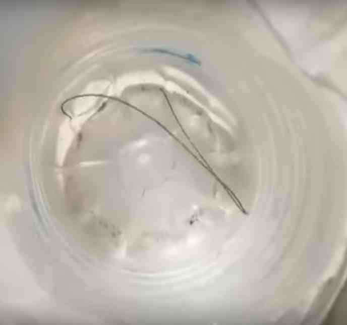 Hazardous Insects called Thread snake found in water tap Bageshwar