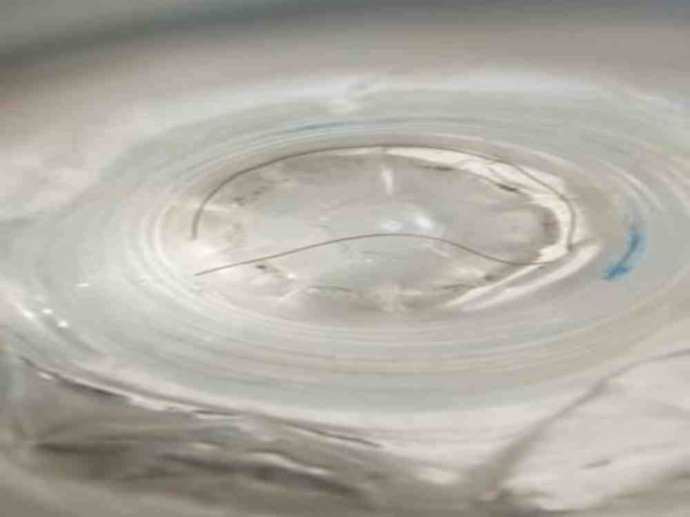 Hazardous Insects called Thread snake found in water tap Bageshwar