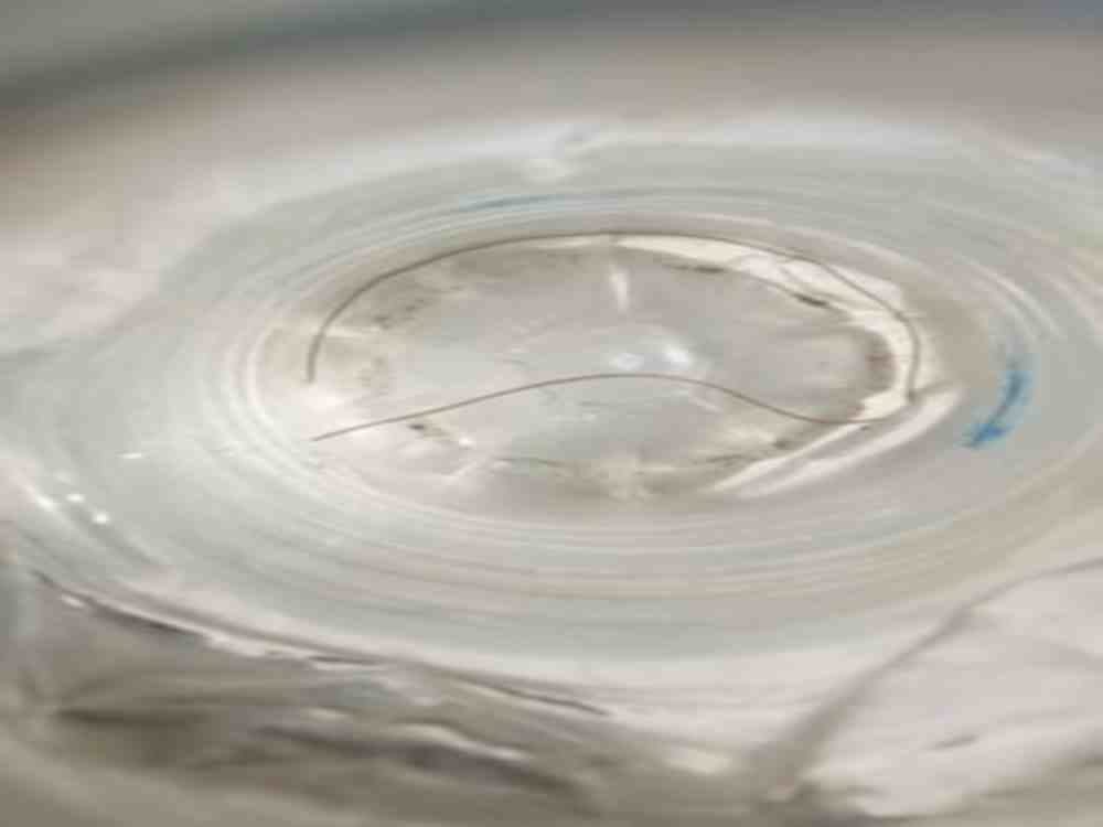 Hazardous Insects called Thread snake found in water tap Bageshwar