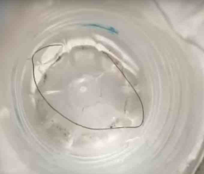 Hazardous Insects called Thread snake found in water tap Bageshwar