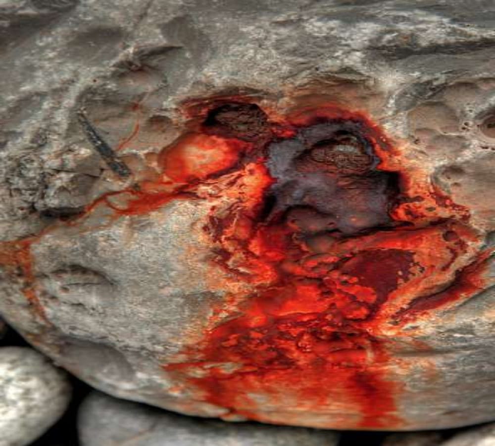 This rock is alive found here