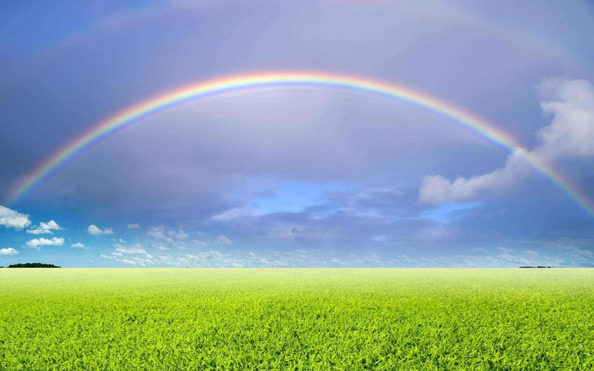 know why rainbows are formed in the sky after rain