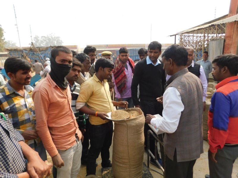 सिर्फ पांच फीसदी हो सकी है धान की खरीद