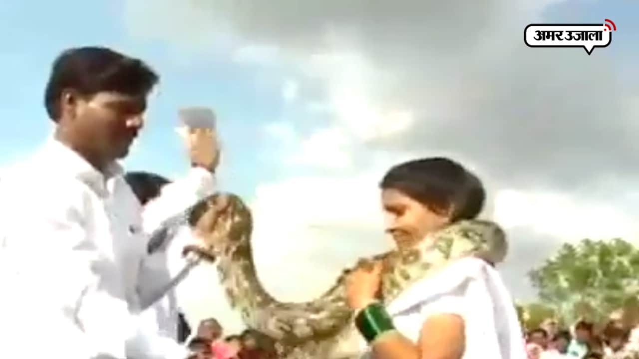 वायरल वीडियो 