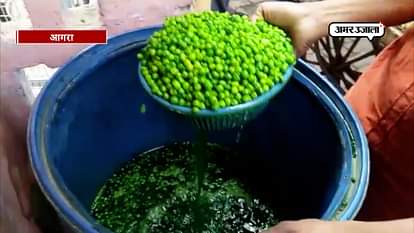 Watch: Fake green peas sell at the market of agra