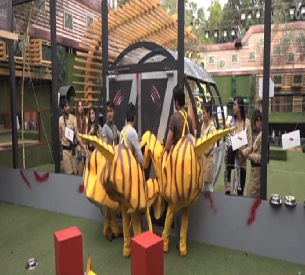luv tyagi gets out of control during luxury budget task in bigg boss 11