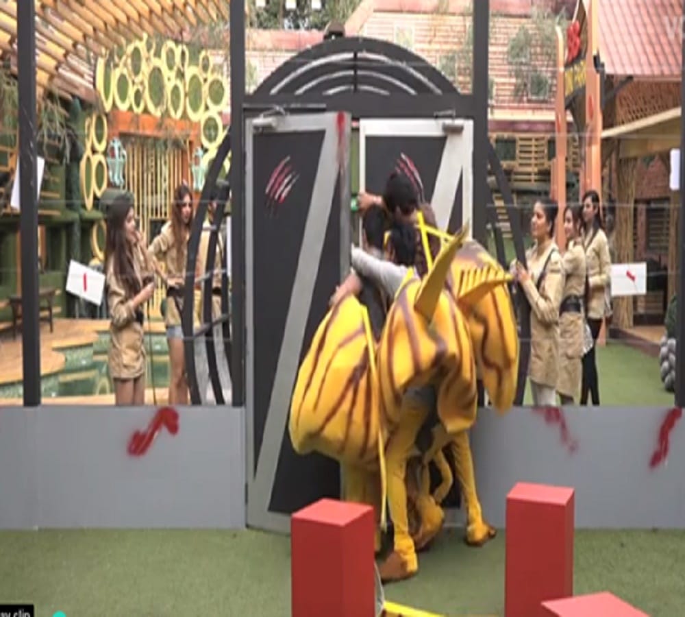 luv tyagi gets out of control during luxury budget task in bigg boss 11