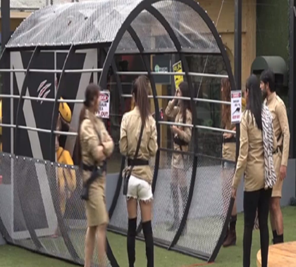 luv tyagi gets out of control during luxury budget task in bigg boss 11