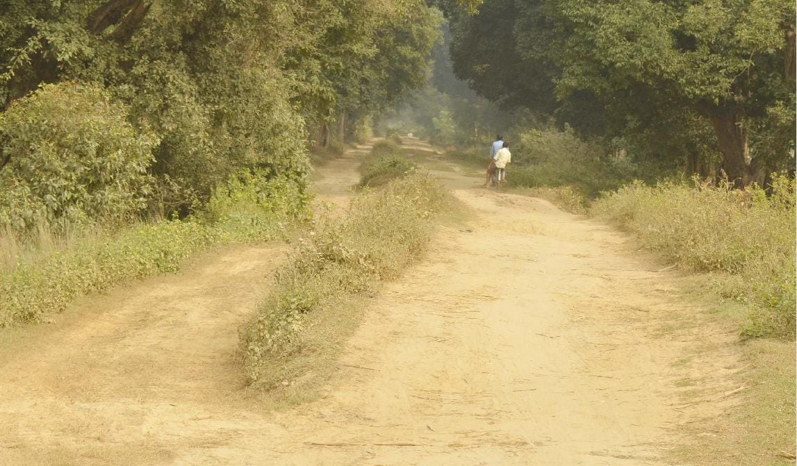 40 लाख से बनेगा टाइगर रिजर्व जाने वाला मार्ग