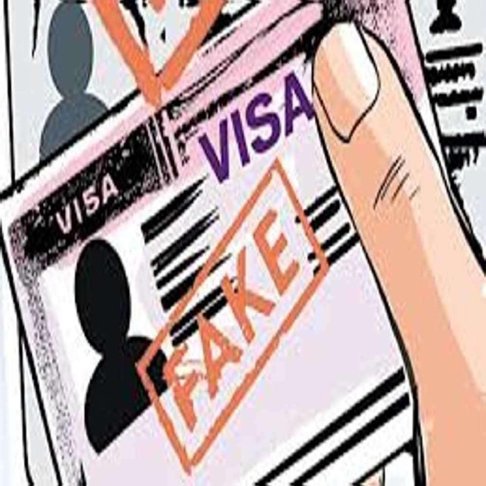 pakistan sponsoring fake visas and passports to its citizens told by its citizen 