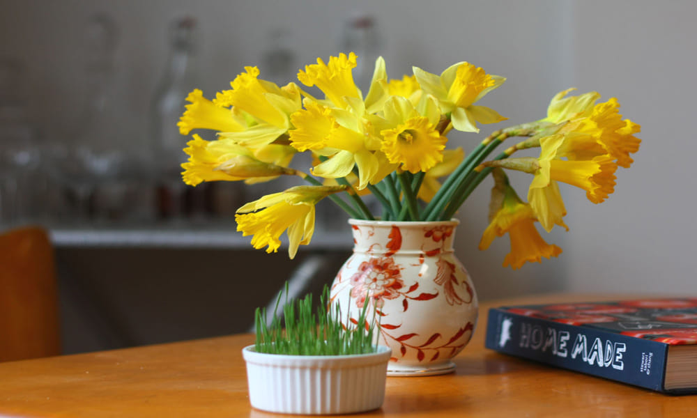 never keep withered flowers in home according to feng shui