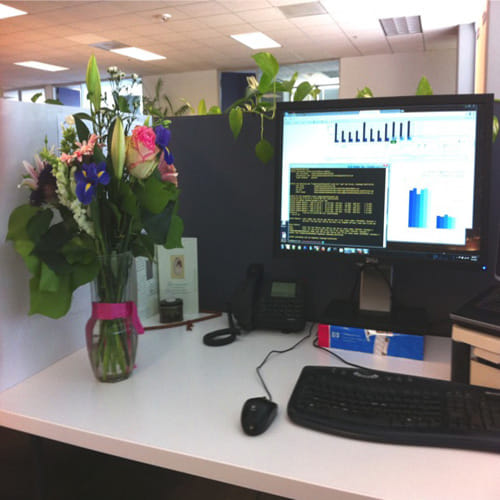 never keep withered flowers in home according to feng shui