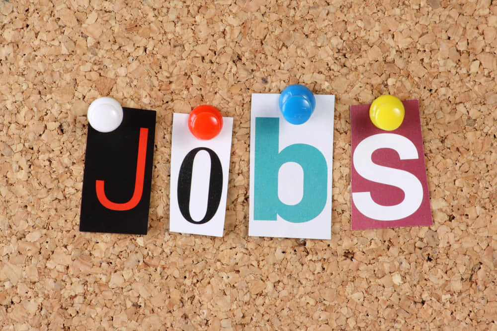 Chhattisgarh Jobs; Job placement camp for 10th-12th pass on July 12 in Bemetara
