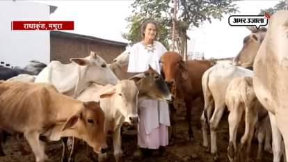 foreign lady who has been serving the cow will leave india.