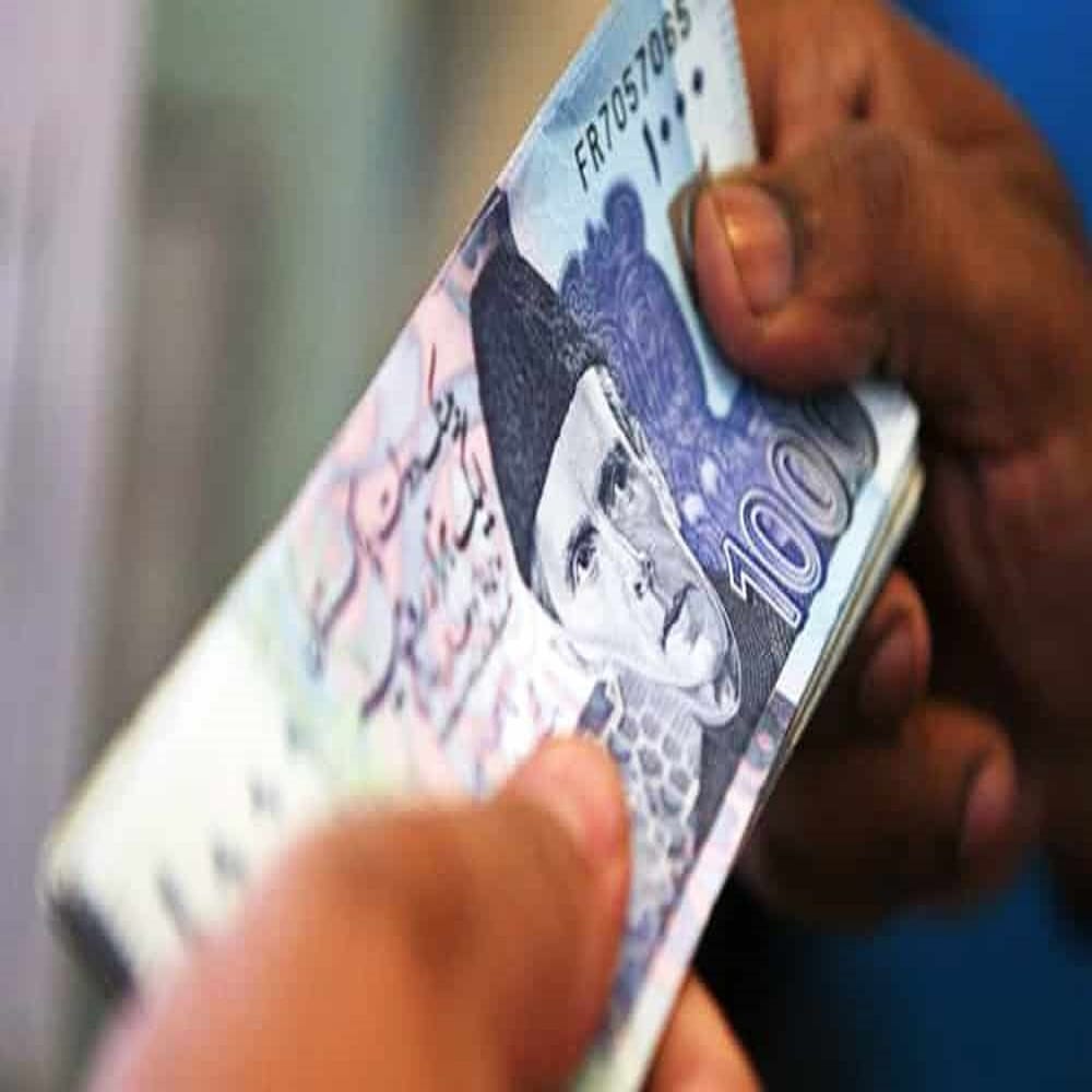 pakistan sponsoring fake visas and passports to its citizens told by its citizen 