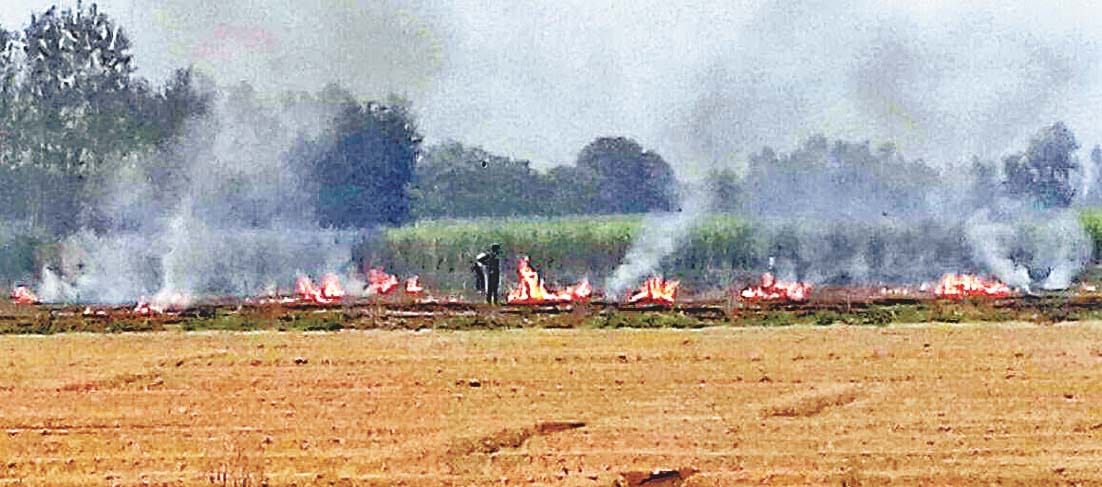 paraali jalakar paryavaarn sanranshan ko laga rahe paleeta
