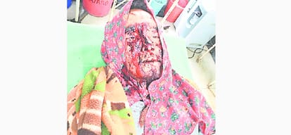 bear attacked two person in rampur bushahr shimla