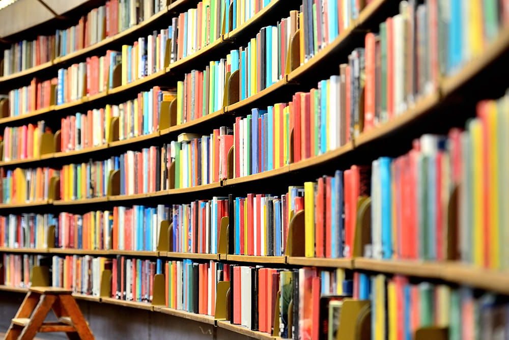 International Literature and Arts Festival start from today