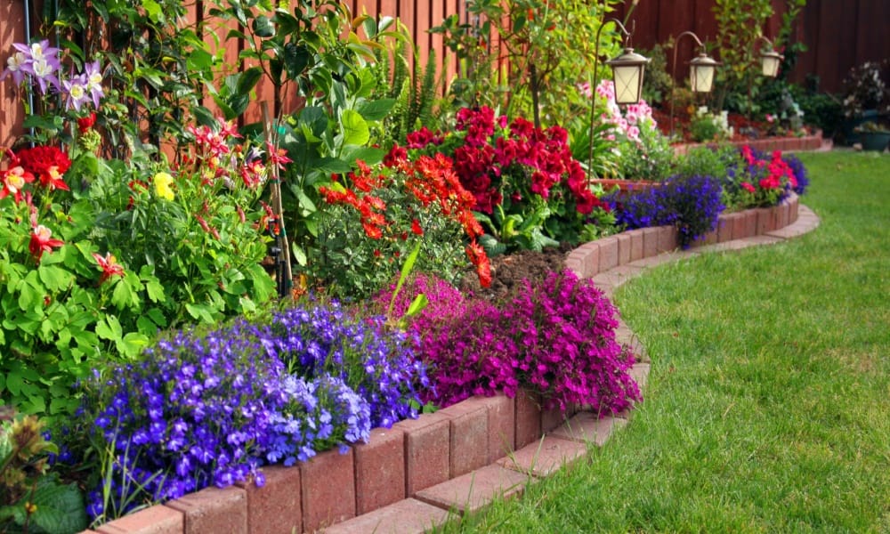 according to vastu shastra these plant in the house are auspicious