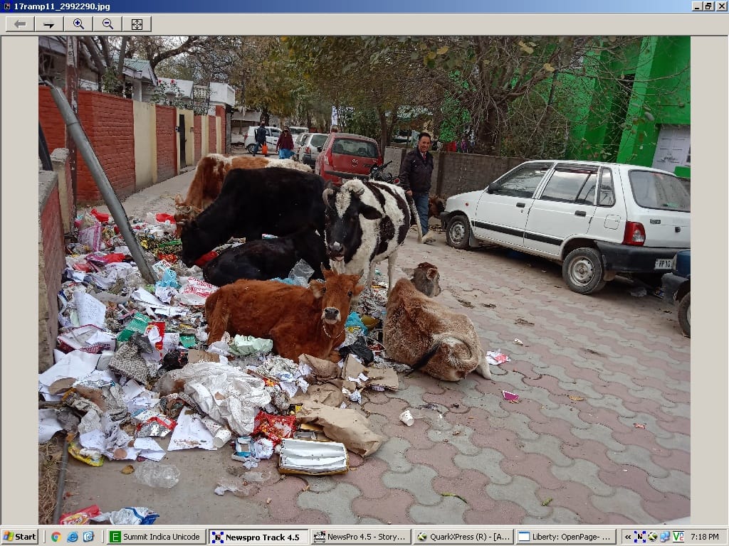 सड़कों पर गंदगी के ढेर, बदबू फैली