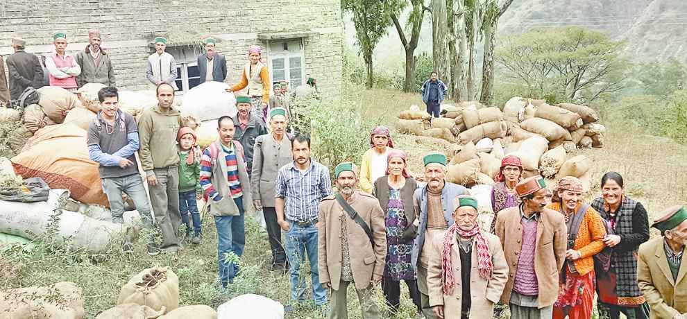himachal sheep and goat wool Lavi fair of Rampur