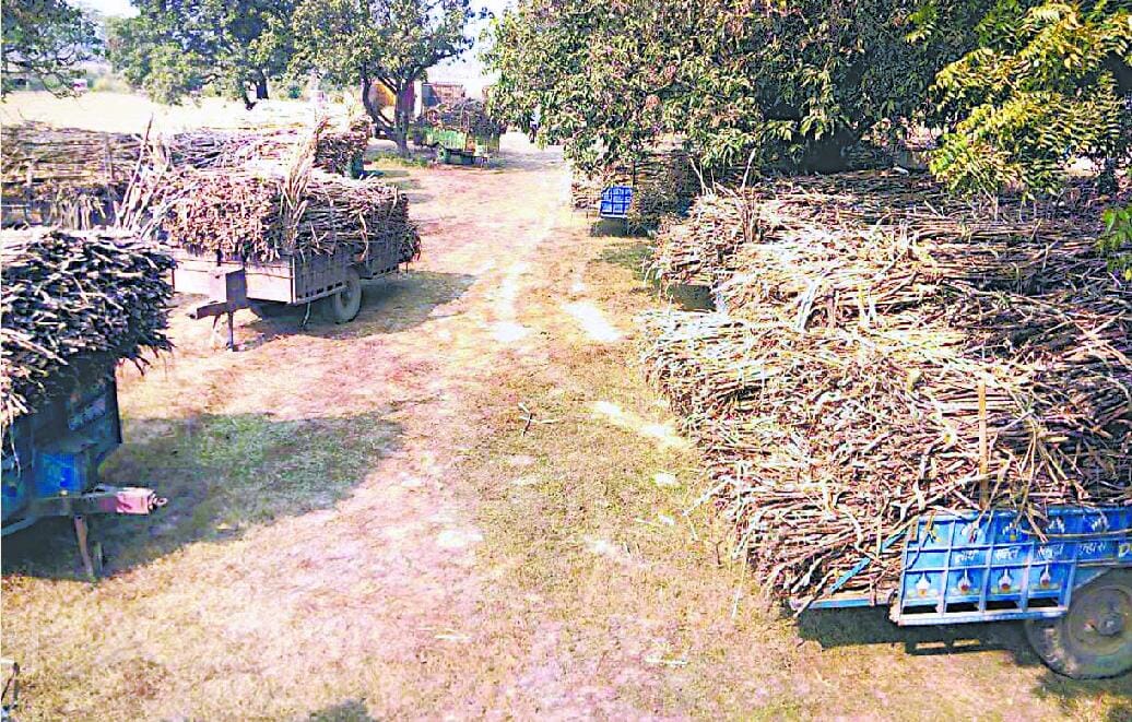 The farmers are frustrated due to non-weighing of sugarcane;