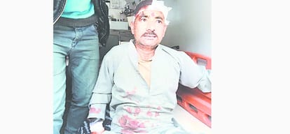 bear attacked two person in rampur bushahr shimla