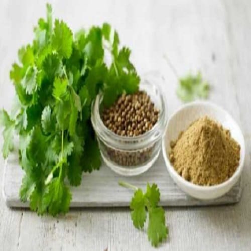 Make Coriander face mask within 5 minutes which instantly effect on pimples 