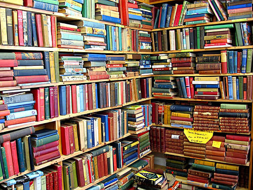 books related to rani padmini are out of stock