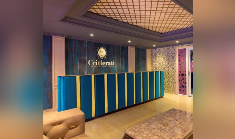 view photos of india's first pet dog five star hotel critterati
