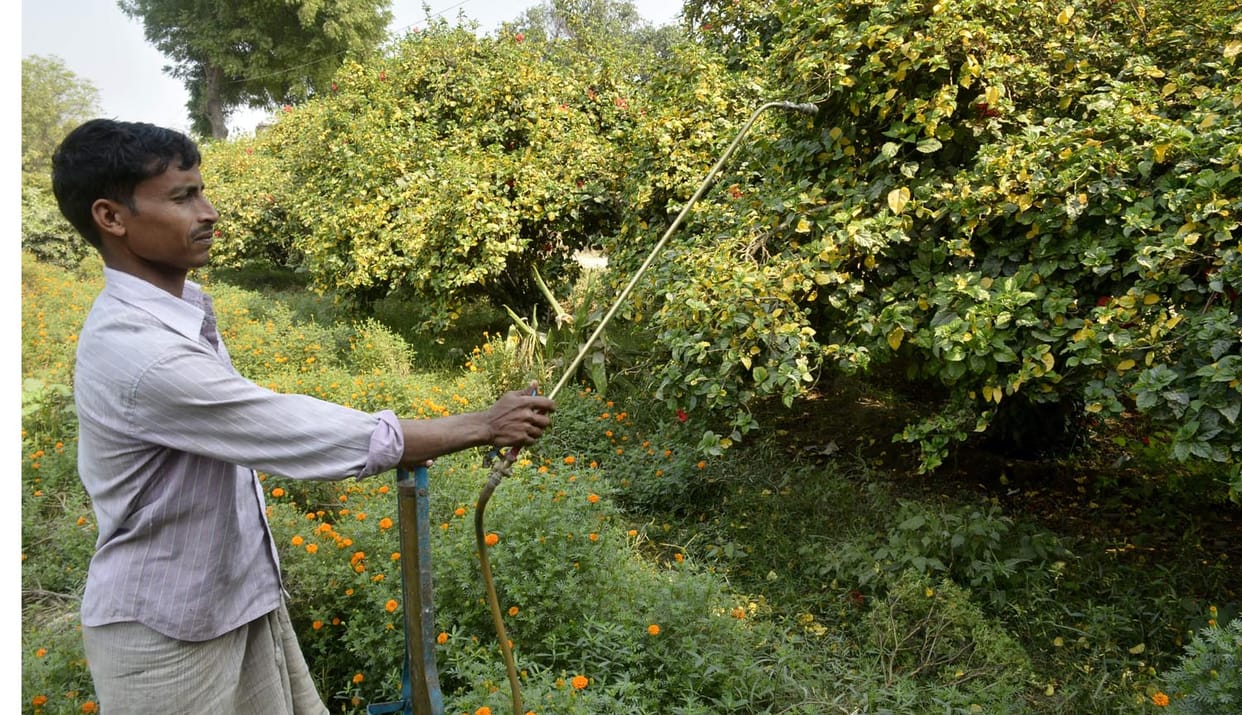 panchkula farmer, agriculture minister, fertilizer