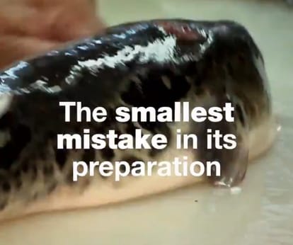 you could die on Smallest mistake in preparing this dish 