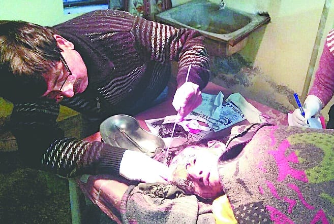 Leopard, son shocked at mother-in-law