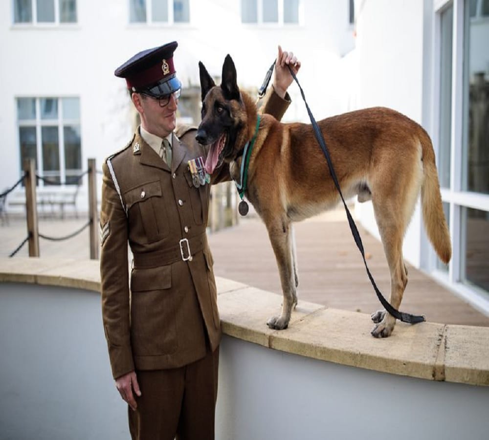 A Military Dog Wins Highest Honor Prize of the Britain For Valor Under Fire