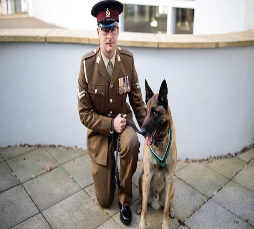 A Military Dog Wins Highest Honor Prize of the Britain For Valor Under Fire