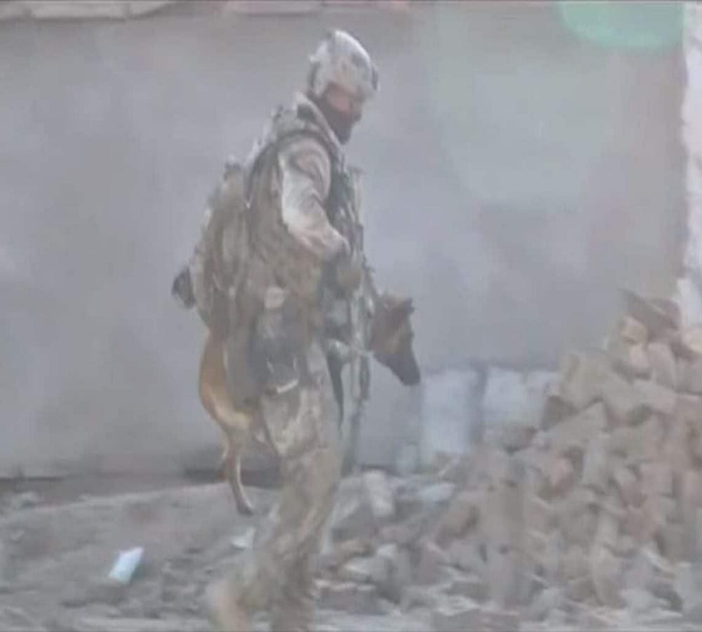 A Military Dog Wins Highest Honor Prize of the Britain For Valor Under Fire