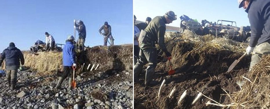 Twenty feet tall skeleton found in russia