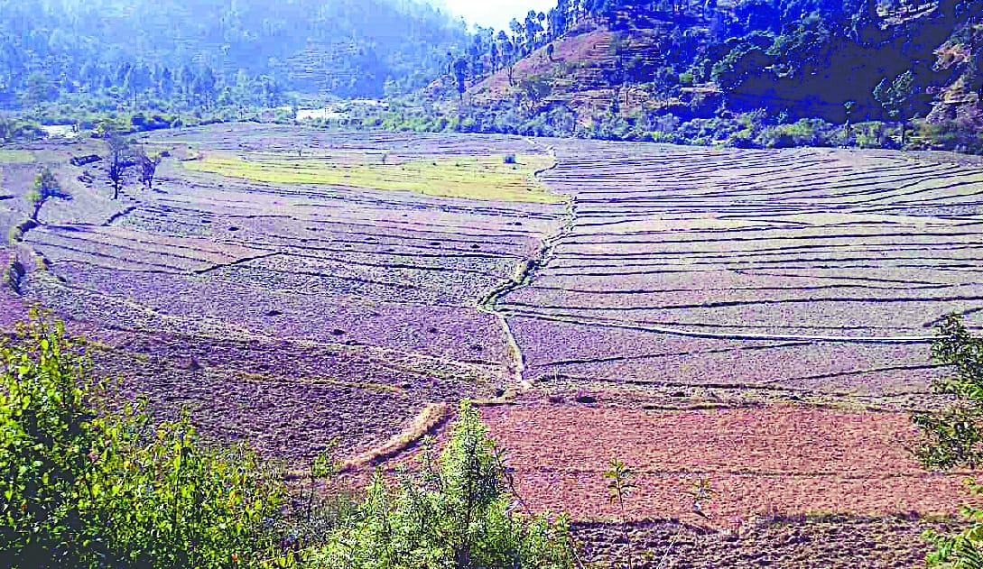 Demand for solution of road and electricity problem