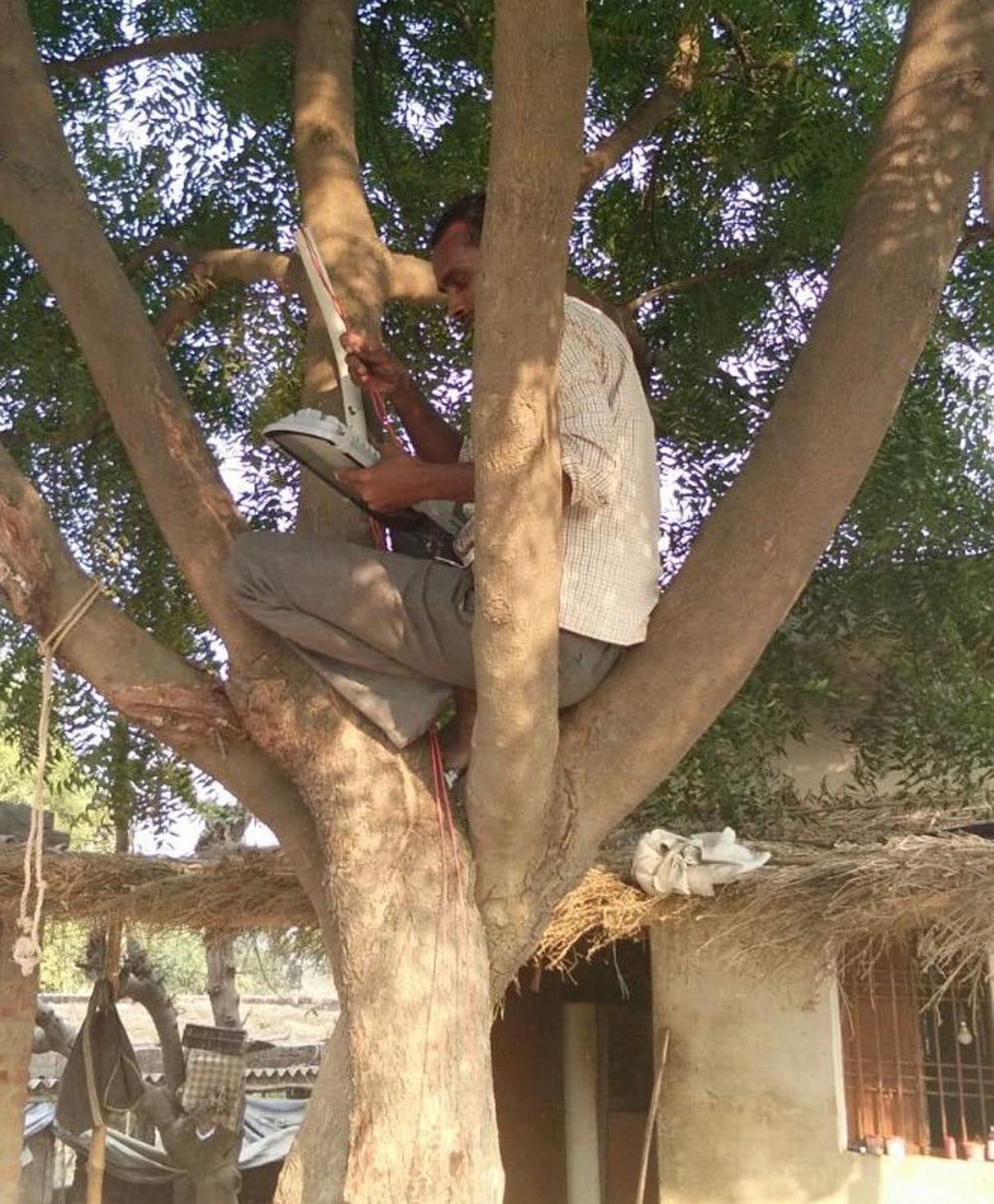 street light on tree in varanasi