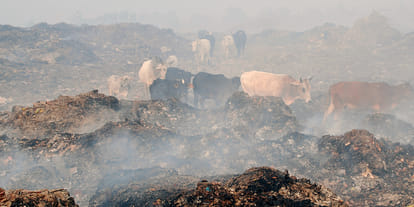 It is difficult to breathe because of pollution