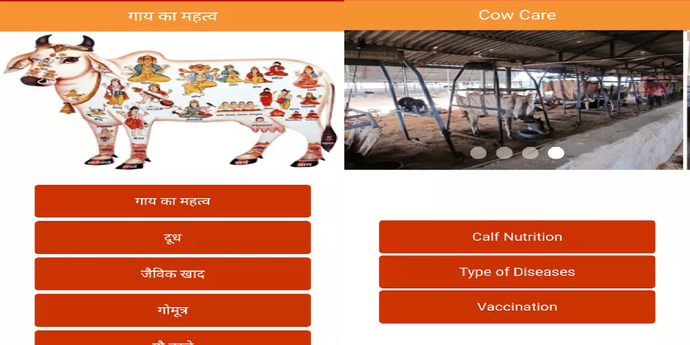 this app dedicated to cows  brings you milk and urine at your doorstep in jaipur city