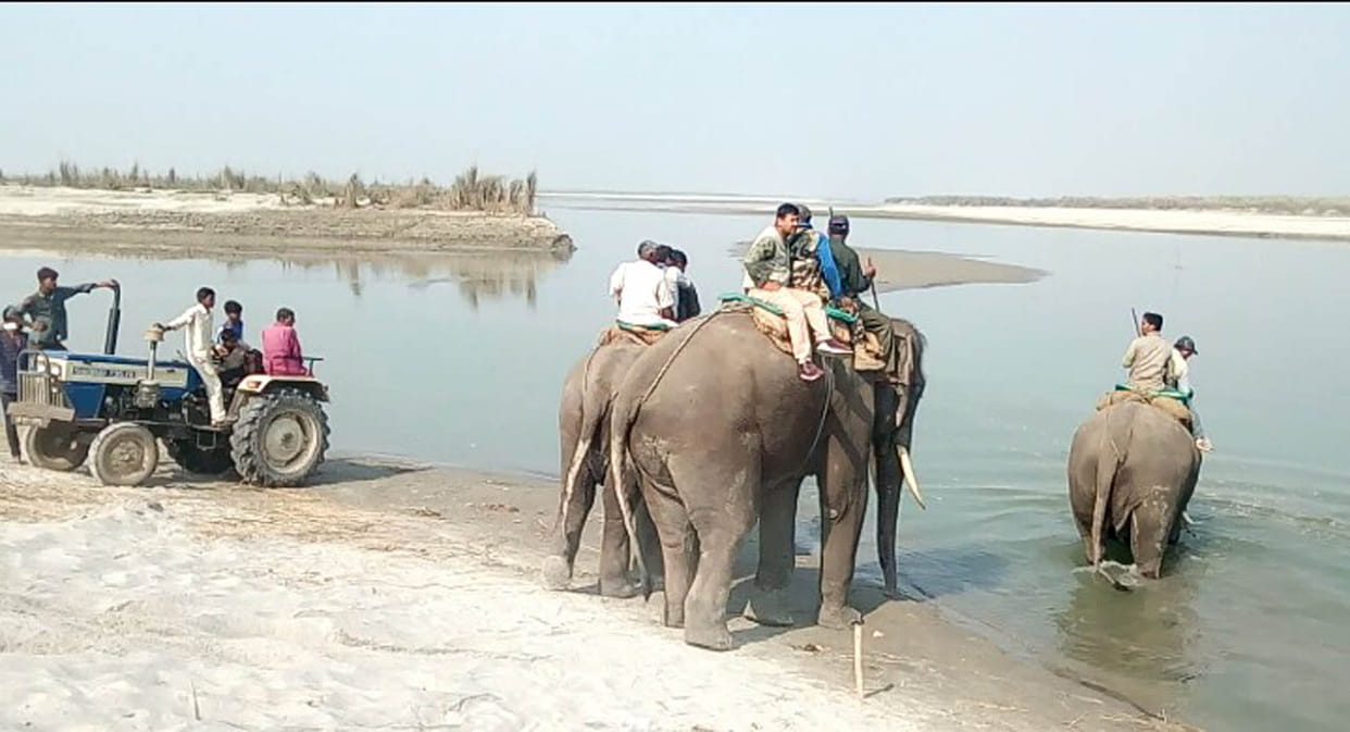 गैंडा को पकड़ने के लिए लाया गया हाथी बिदका