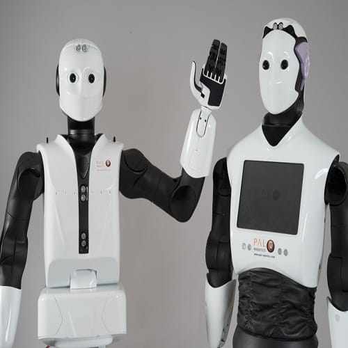 know about mysterious world of robots