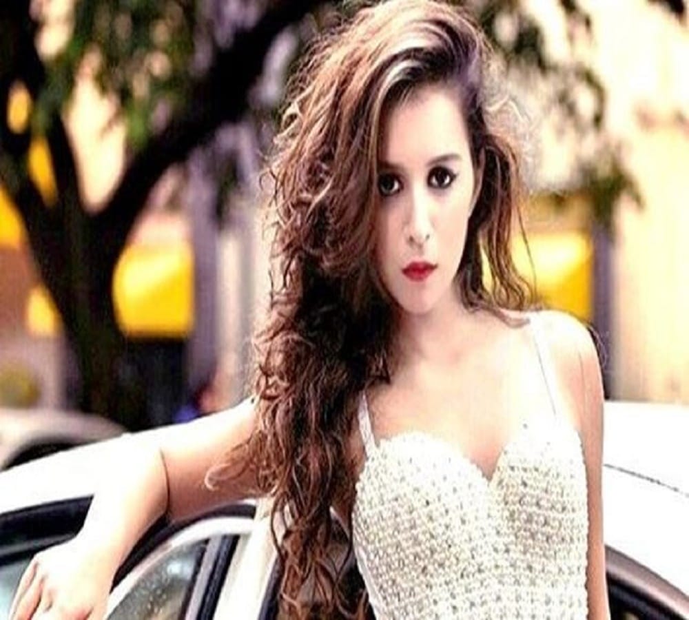 three big reasons behind benafsha evcition in bigg boss 11 