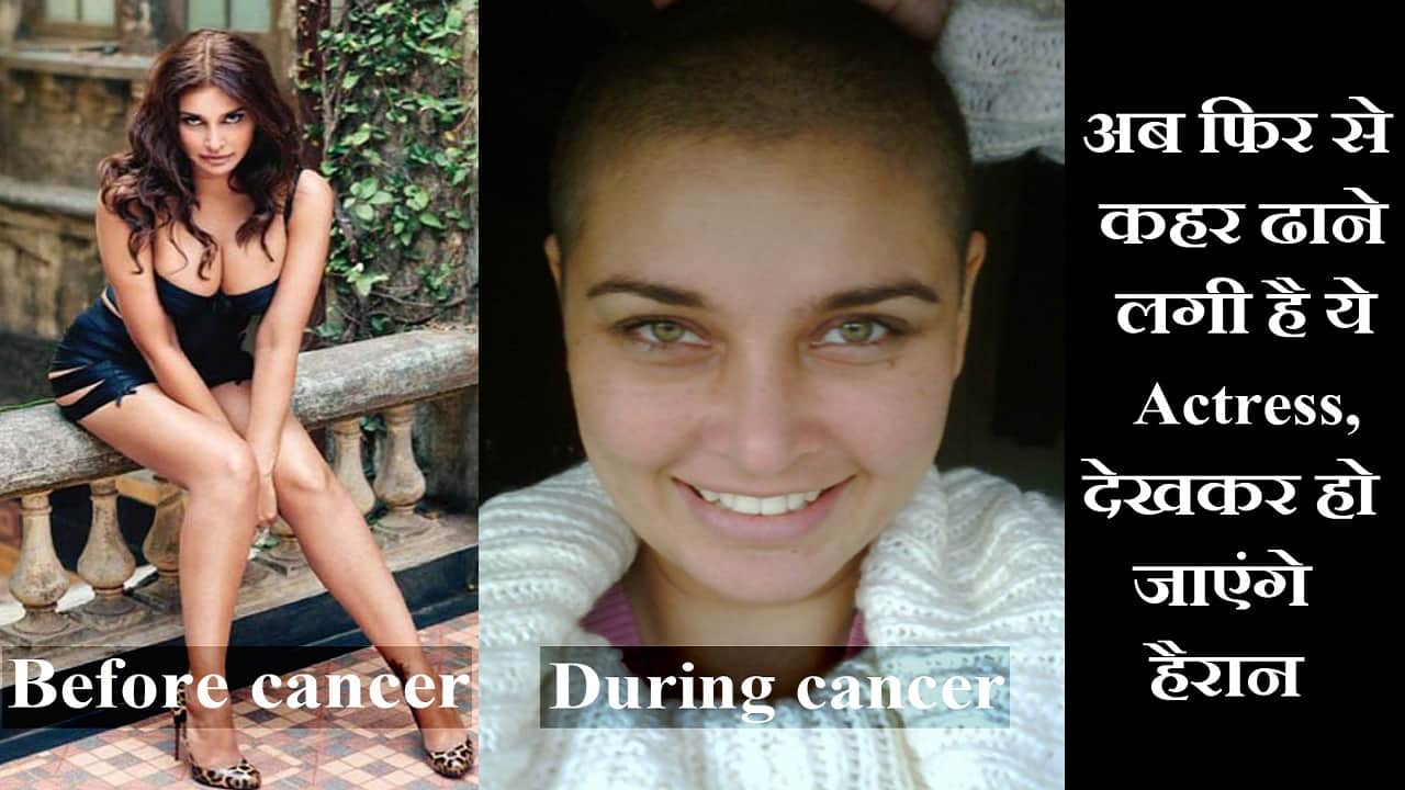 बॉलीवुड