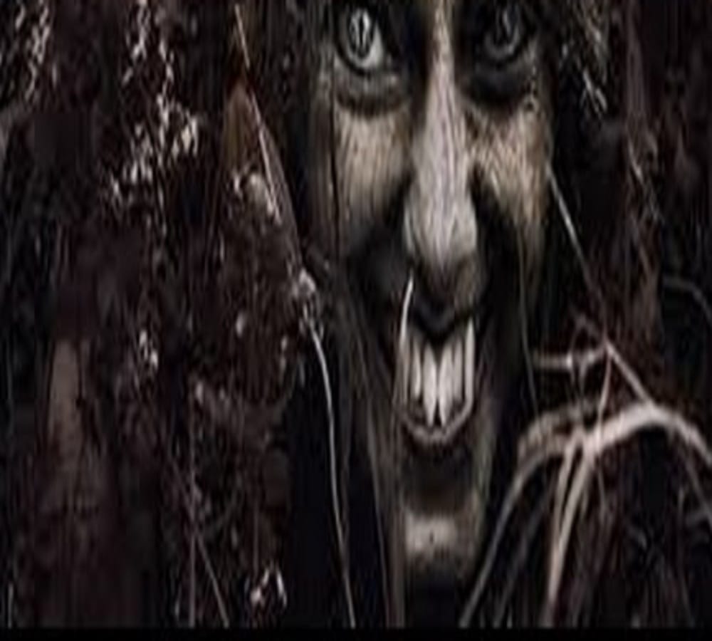 top five most haunted place of india  